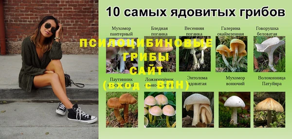 сатива Богданович