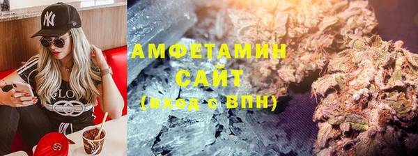 PSILOCYBIN Бородино