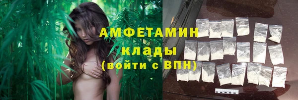 хмурый Верея